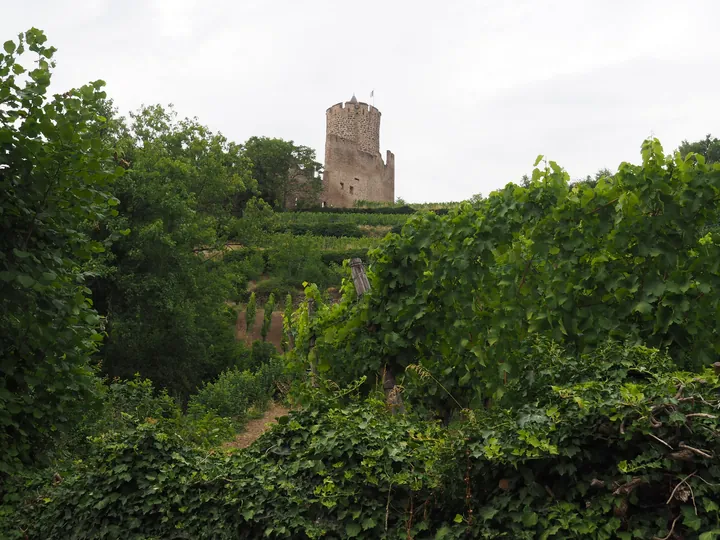 Kaysersberg, Alsace (France)